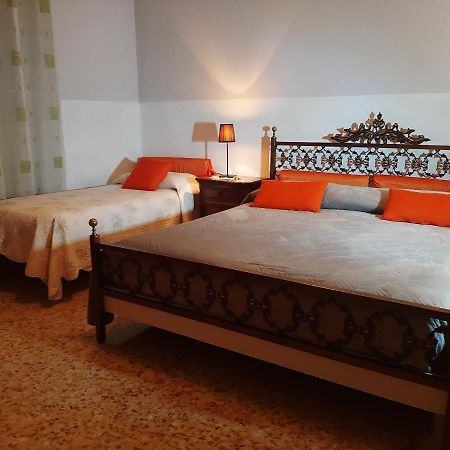 Big Brother Bed & Rooms Treviso Zewnętrze zdjęcie
